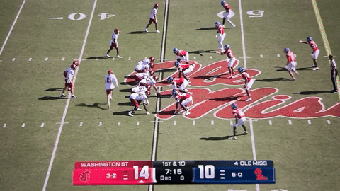 BreinVid giphyupload GIF