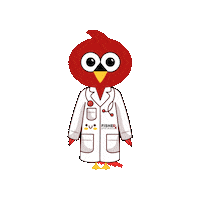 Cardinal Rx Sticker by Fisher Pharmacy