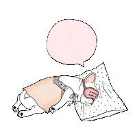 do not disturb sleep Sticker by Fine Frenchie