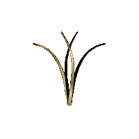 Gold Lash Sticker by Engels Wimpern