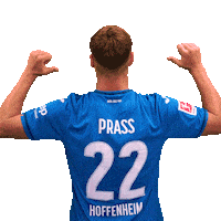 Sport Bundesliga Sticker by TSG Hoffenheim