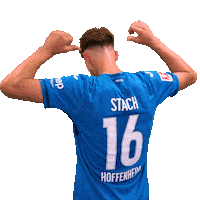 Sport Bundesliga Sticker by TSG Hoffenheim