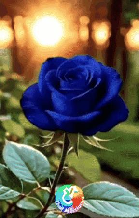 Para Ti Gracias GIF by Murcianys LLC