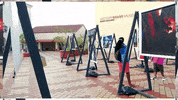 historymiami miami history museum historymiami GIF