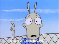 rockos modern life nicksplat GIF