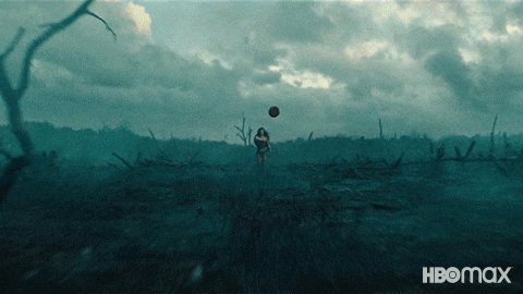 Wonder Woman Dc GIF by HBO Max