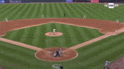 New York Yankees Mlb GIF by YES Network