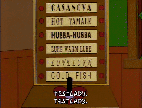 the simpsons episode 24 GIF