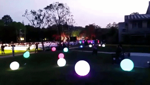 Tafest giphygifmaker GIF