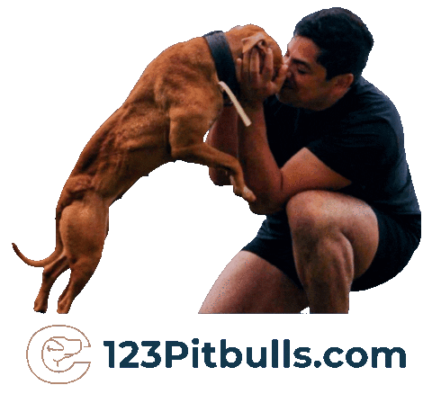 Pitbull Apbt Sticker by Chico Lopez