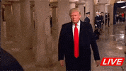 Mortal Kombat Trump GIF by hamlet