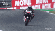 GIF by MotoGP