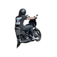 BartelsHarley motorcycle harley stoked harley davidson Sticker