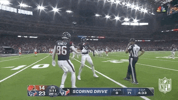 Houston Texans Football GIF by NFL