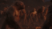 Monkey Pinball GIF by HUPChallenge
