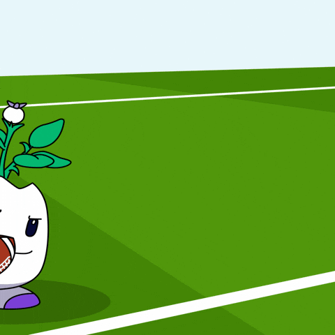 Touch Down Lets Go GIF by Magic Eden