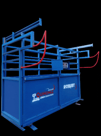 GrupoQuinonez giphygifmaker robusta quiñonez báscula GIF