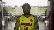 University Of Louisville Go Cards GIF by Louisville Cardinals