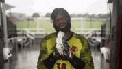 University Of Louisville Go Cards GIF by Louisville Cardinals