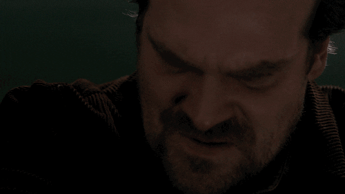 strangerthings giphyupload season 1 stranger things hopper GIF