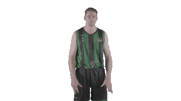 Liga Endesa Basketball Sticker by ACB