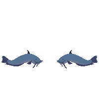 Catfish Sticker by Mandai Wildlife Reserve