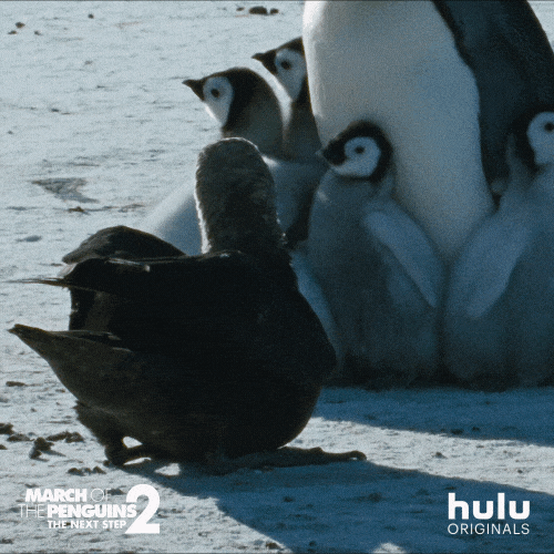 Scared March Of The Penguins GIF by HULU