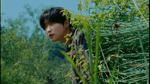 Kpop GIF by CRAVITY