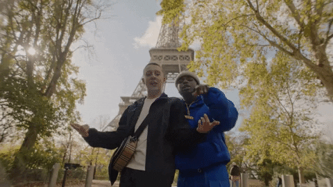 France Party GIF by RCA Records UK