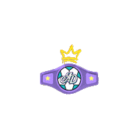 Football Sport Sticker by Athletically Declined Sports