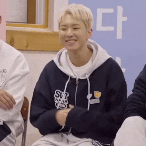 Surprise 세븐틴 GIF