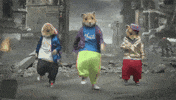 Dancing Hamster GIF