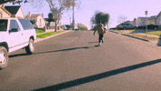 duckwrth duckwrth bernal heights GIF