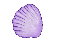 Summer Instagram Sticker