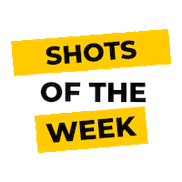 Fun Week Sticker by DIVE INN - Die Innovationsagentur