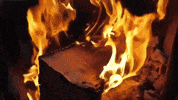 kern river fire GIF