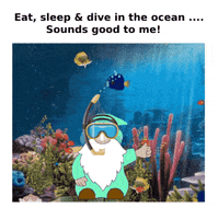Summer Water GIF