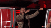 Episode 1 Voice Blinds GIF by NBC
