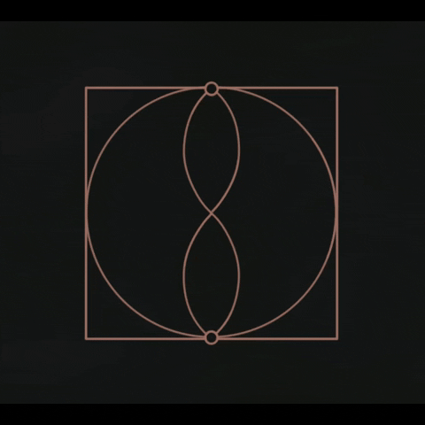 studeii giphyupload GIF