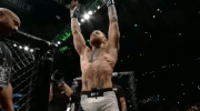 ufc 205 GIF