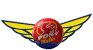 goal futbol Sticker by PonyMaltaOficial