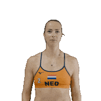 Dutch Team Beach Sticker by Nevobo
