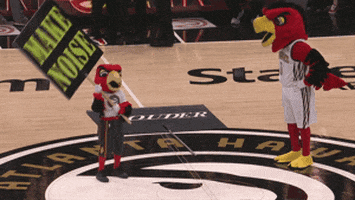 angry birds basketball GIF by NBA