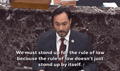 Joaquin Castro Impeachment GIF by GIPHY News