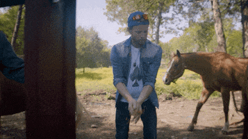 Land Of The Free GIF by Home Free