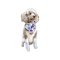 Poodle Anime Dog Sticker by Geekster Pets