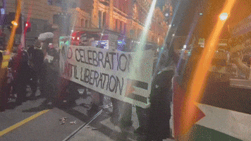 'No Celebration Until Liberation': Pro-Palestine Protesters Rally in Melbourne on New Year's Eve
