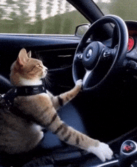 Vibe Adelantar GIF