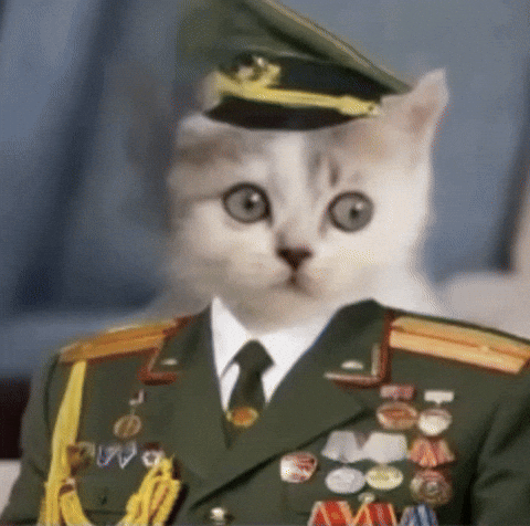 Sargent GIF