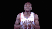 Basketball Beard GIF by Carson-Newman Athletics